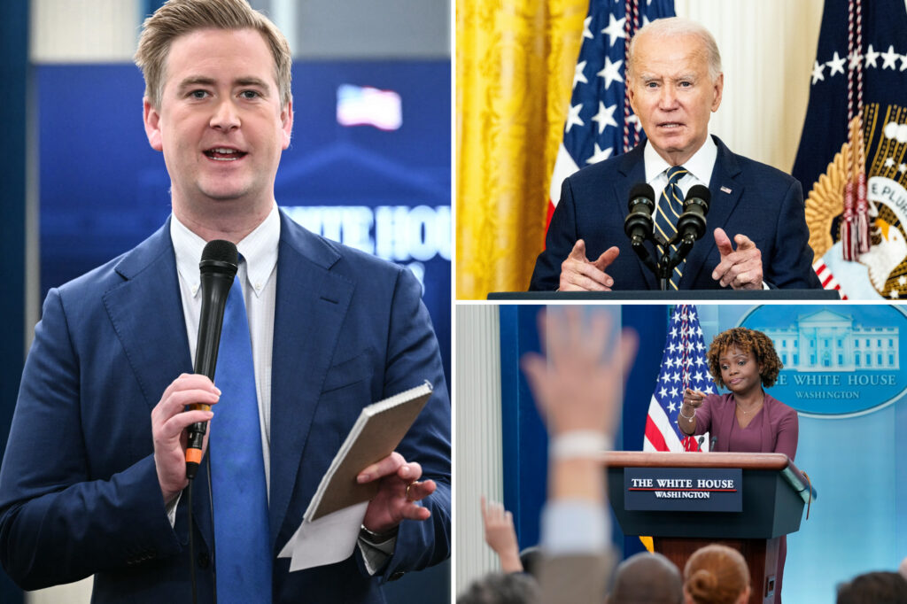 White House journalists talk about whether Biden's mental decay was deliberately hidden